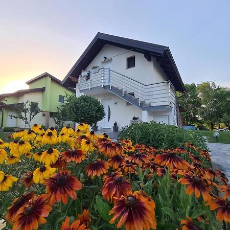 Villa Orhidea à Bihać Extérieur photo